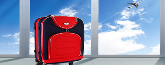 sky express baggage
